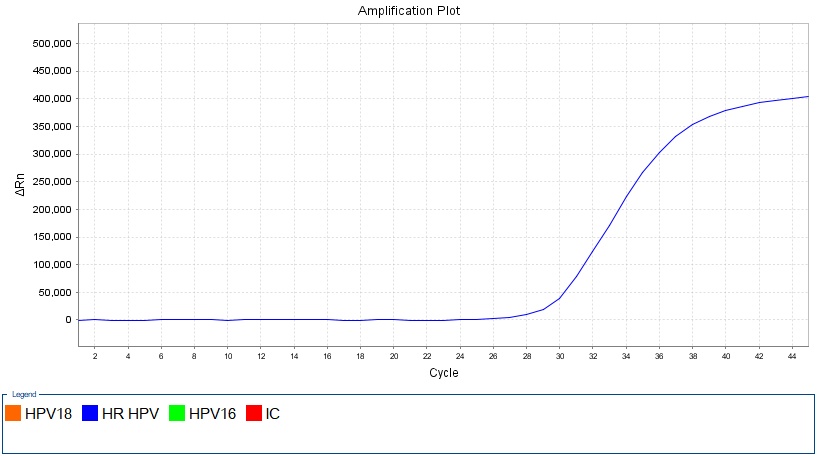 HPV31